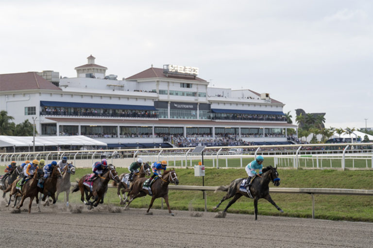 75th annual Florida Derby: thoroughbred horse race (Sat. March 28, 2026)