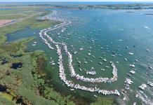 Michigan Boat Parties 2021: Jobbie Nooner, Raft Off, Bud Bash, Islandfest, Torch, and more!