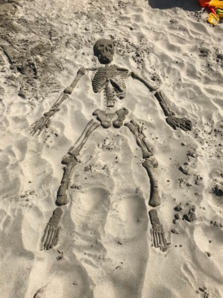 Buy: Bag O Beach Bones (14 Life-size Human Skeletal Sand Molds ...