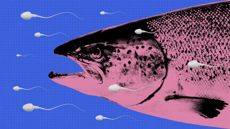 Fish Sperm Facials craze sweeping Asia