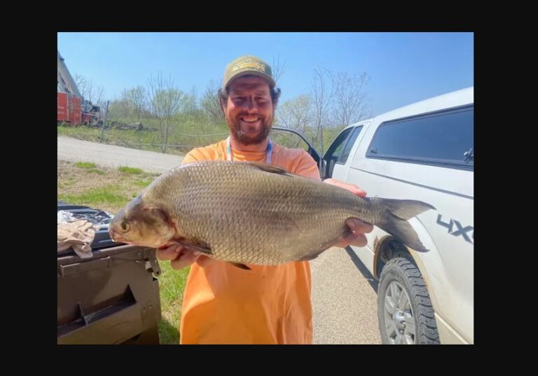 Angler catches record-breaking Gizzard Shad fish from the Grand River in Michigan’s Kent County