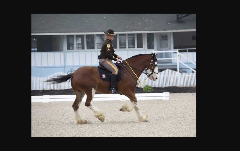 North American Police Equestrian Competition (May 16-17, 2026) Virginia
