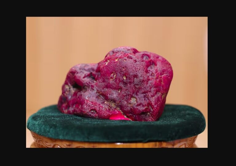 Massive 11,000-carat Ruby unearthed in Mogok, Myanmar