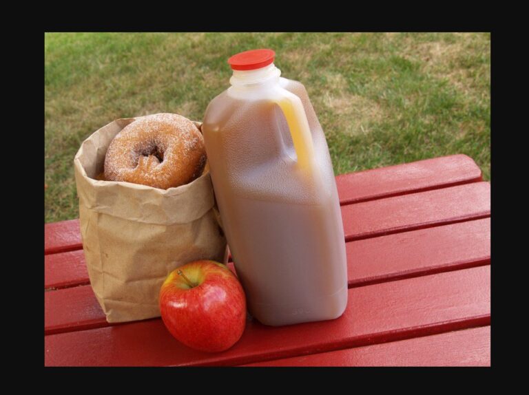 Top 20 Best Cider Mills in Michigan (cider mills are open September 01-November 01, 2026)